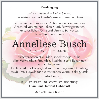 Traueranzeige von Anneliese Busch von Mitteldeutsche Zeitung Mansfelder Land