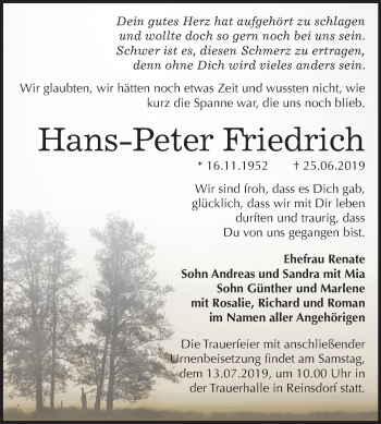 Traueranzeige von Hans-Peter Friedrich von Wochenspiegel Naumburg/Nebra