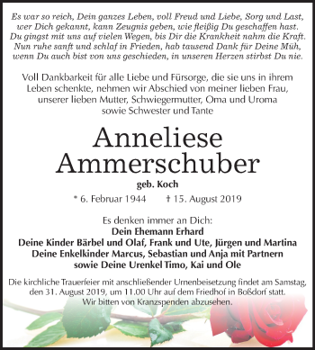 Traueranzeige von Anneliese Ammerschuber von Super Sonntag Wittenberg
