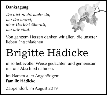 Traueranzeige von Brigitte Hädicke von Mitteldeutsche Zeitung Halle/Saalkreis