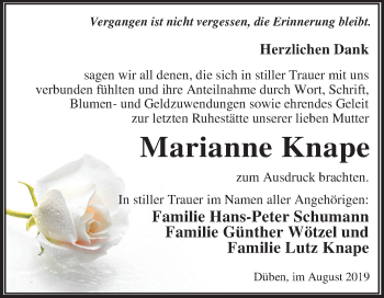 Traueranzeige von Marianne Knape von Super Sonntag Wittenberg
