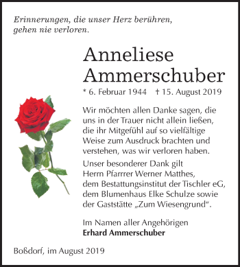 Traueranzeige von Anneliese Ammerschuber von Mitteldeutsche Zeitung Wittenberg