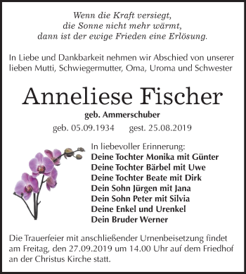 Traueranzeige von Anneliese Fischer von Super Sonntag Wittenberg