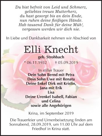 Traueranzeige von Elli Knecht von Mitteldeutsche Zeitung Bitterfeld