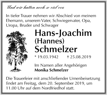 Traueranzeige von Hans-Joachim Schmelzer von Mitteldeutsche Zeitung Halle/Saalkreis