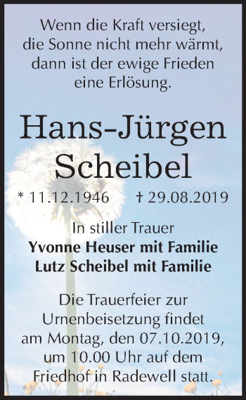 Traueranzeige von Hans-Jürgen Scheibel von Mitteldeutsche Zeitung Halle/Saalkreis