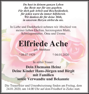 Traueranzeige von Elfriede Ache von Mitteldeutsche Zeitung Wittenberg