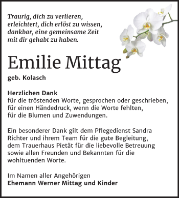 Traueranzeige von Emilie Mittag von Mitteldeutsche Zeitung Wittenberg