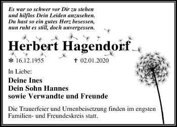 Traueranzeige von Herbert Hagendon von Mitteldeutsche Zeitung Dessau-Roßlau