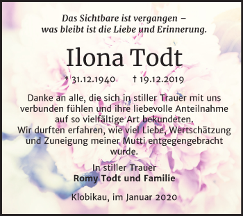 Traueranzeige von Ilona Todt von Super Sonntag Merseburg/Querfurt