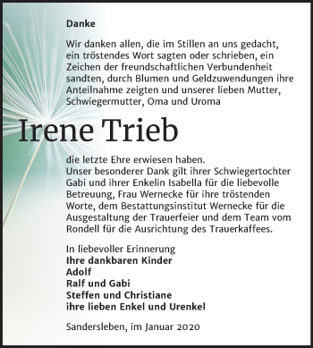Traueranzeige von Irene Trieb von Super Sonntag Mansfelder Land