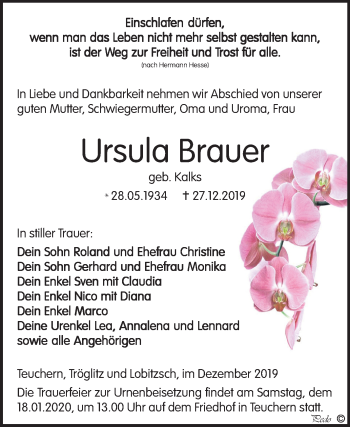 Traueranzeige von Ursula Brauer von Wochenspiegel Weißenfels