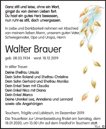 Traueranzeige von Walter Brauer von Wochenspiegel Weißenfels