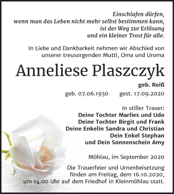 Traueranzeige von Anneliese Plaszczyk von Super Sonntag Wittenberg