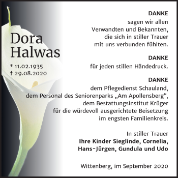Traueranzeige von Dora Halwas von Super Sonntag Wittenberg