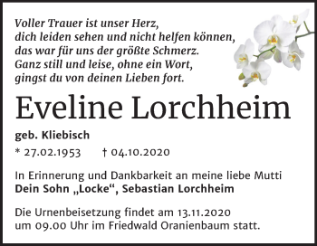 Traueranzeige von Eveline Lorchheim von Mitteldeutsche Zeitung Wittenberg