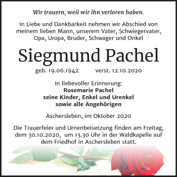 Traueranzeige von Siegmund Pachel von Wochenspiegel Aschersleben