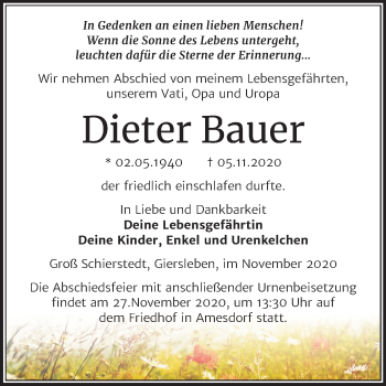 Traueranzeige von Dieter Bauer von Mitteldeutsche Zeitung Aschersleben