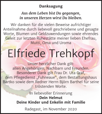 Traueranzeige von Elfriede Trehkopf von Super Sonntag Köthen