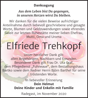 Traueranzeige von Elfriede Trehkopf von Mitteldeutsche Zeitung Köthen