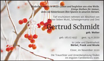 Traueranzeige von Gertrud Schmidt von Mitteldeutsche Zeitung Wittenberg