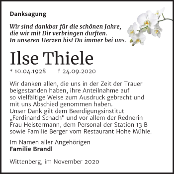 Traueranzeige von Ilse Thiele von Super Sonntag Wittenberg