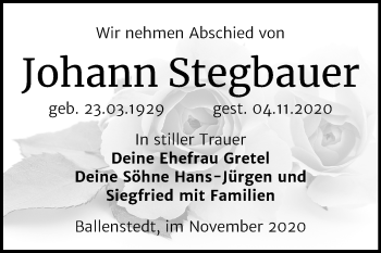 Traueranzeige von Johann Stegbauer von Mitteldeutsche Zeitung Quedlinburg