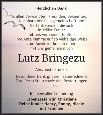 Traueranzeige von Lutz Bringezu von Super Sonntag Dessau-Roßlau