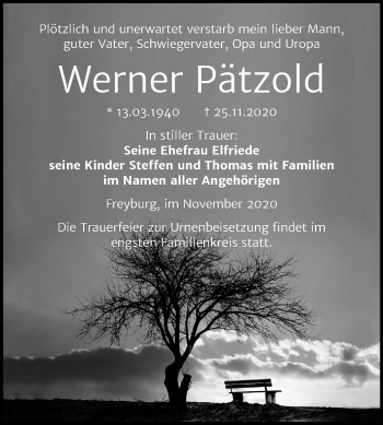 Traueranzeige von Werner Pätzold von Mitteldeutsche Zeitung Naumburg/Nebra