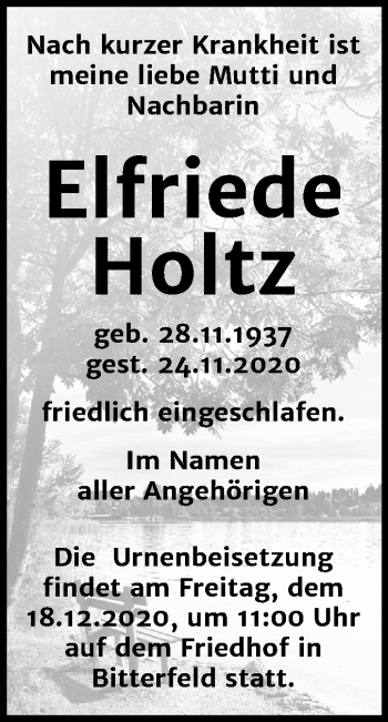 Traueranzeige von Elfriede Holtz von Wochenspiegel Bitterfeld