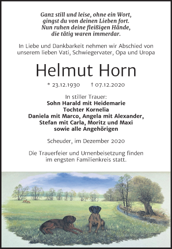 Traueranzeige von Helmut Horn von Super Sonntag Dessau-Roßlau / Köthen
