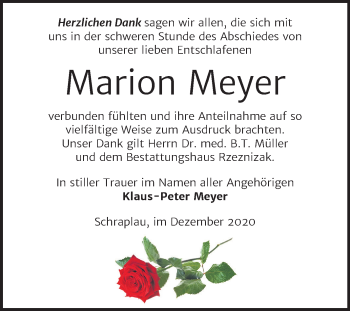 Traueranzeige von Marion Meyer von Super Sonntag Merseburg/Querfurt
