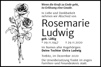 Traueranzeige von Rosemarie Ludwig von Mitteldeutsche Zeitung Wittenberg
