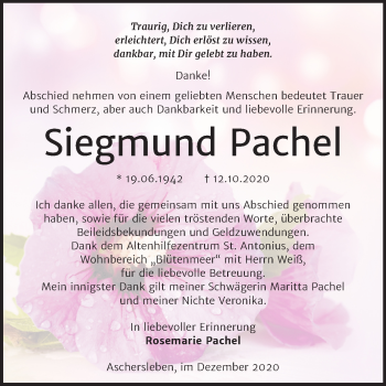 Traueranzeige von Siegmund Pachel von Mitteldeutsche Zeitung Aschersleben