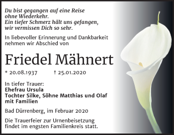 Traueranzeige von Friedel Mähnert von Super Sonntag Merseburg/Querfurt