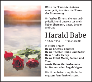 Traueranzeige von Harald Babe von Mitteldeutsche Zeitung Bitterfeld