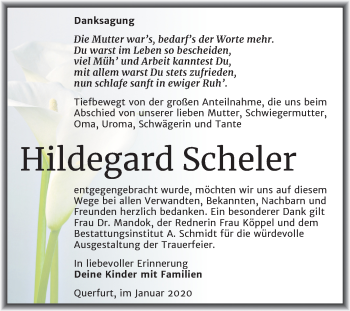 Traueranzeige von Hildegard Scheler von Wochenspiegel Merseburg/Querfurt