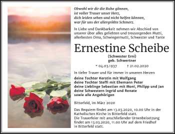Traueranzeige von Ernestine Scheibe von Mitteldeutsche Zeitung Bitterfeld