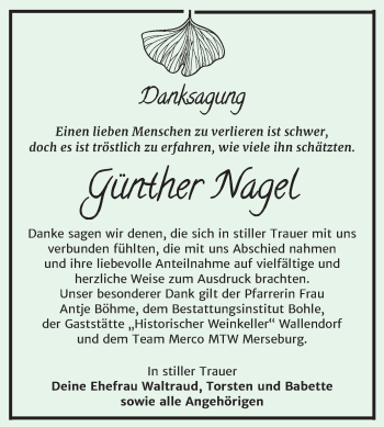 Traueranzeige von Günther Nagel von Super Sonntag Merseburg/Querfurt