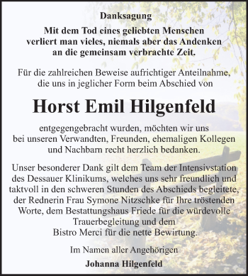 Traueranzeige von Horst Emil Hilgenfeld von Super Sonntag Dessau-Roßlau