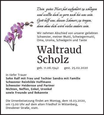 Traueranzeige von Waltraud Scholz von Super Sonntag Wittenberg