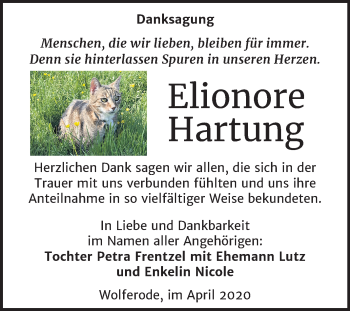 Traueranzeige von Elionore Hartung von Super Sonntag Mansfelder Land