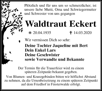 Traueranzeige von Waldtraut Eckert von Mitteldeutsche Zeitung Dessau-Roßlau
