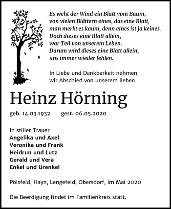 Traueranzeige von Heinz Hörning von Super Sonntag Sangerhausen