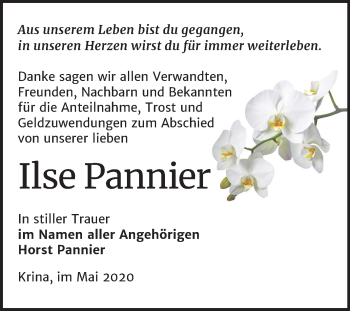 Traueranzeige von Ilse Pannier von Mitteldeutsche Zeitung Bitterfeld