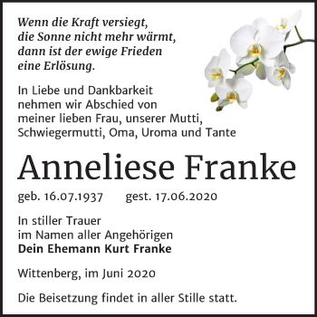 Traueranzeige von Anneliese Franke von Mitteldeutsche Zeitung Wittenberg