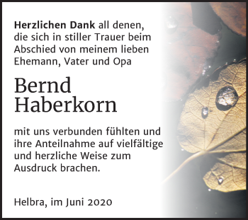 Traueranzeige von Bernd Haberkorn von Mitteldeutsche Zeitung Mansfelder Land