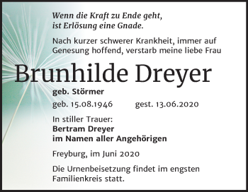 Traueranzeige von Brunhilde Dreyer von Wochenspiegel Naumburg/Nebra