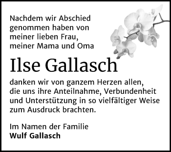 Traueranzeige von Ilse Gallasch von Mitteldeutsche Zeitung Wittenberg