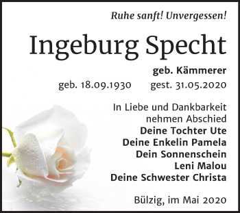 Traueranzeige von Ingeburg Specht von Mitteldeutsche Zeitung Wittenberg